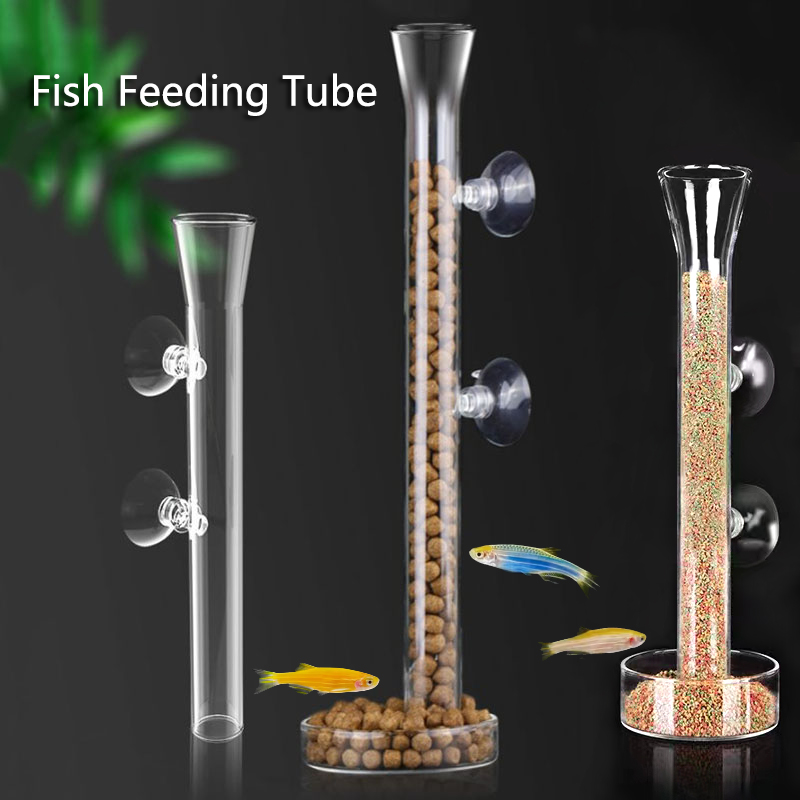 Meal Prep Glass - Glas Aquarium Feeder Rohr Gericht Transparent